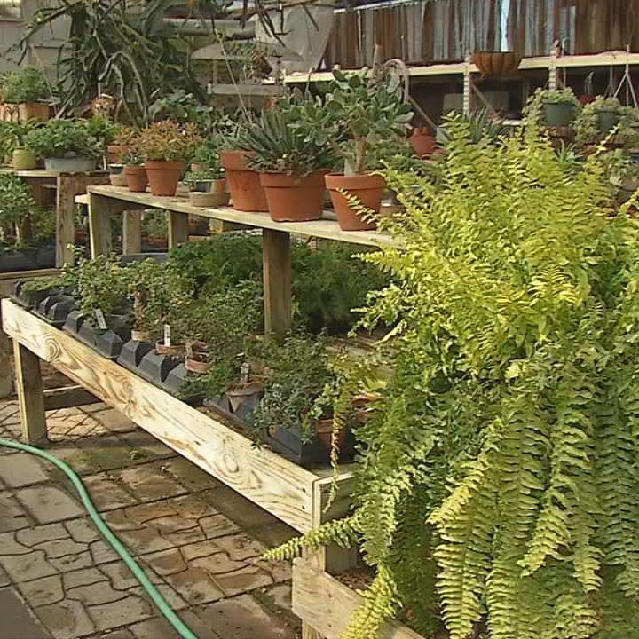 Country Corner Greenhouse 8.jpg